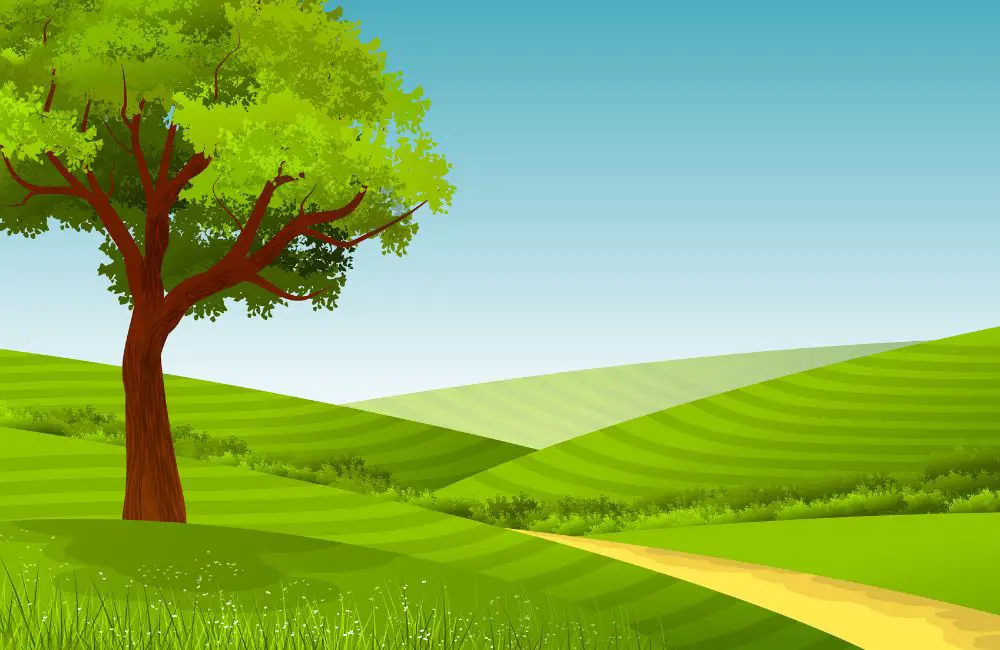 A green place with green field and a tree with leaves